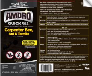AMDRO 100530435 Quick Kill Carpenter Bee, Ant & Termite Foam