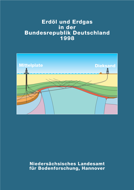 Erdöl Und Erdgas in Der Bundesrepublik Deutschland 1998