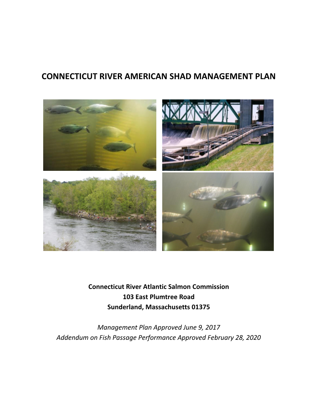 Connecticut River American Shad Management Plan