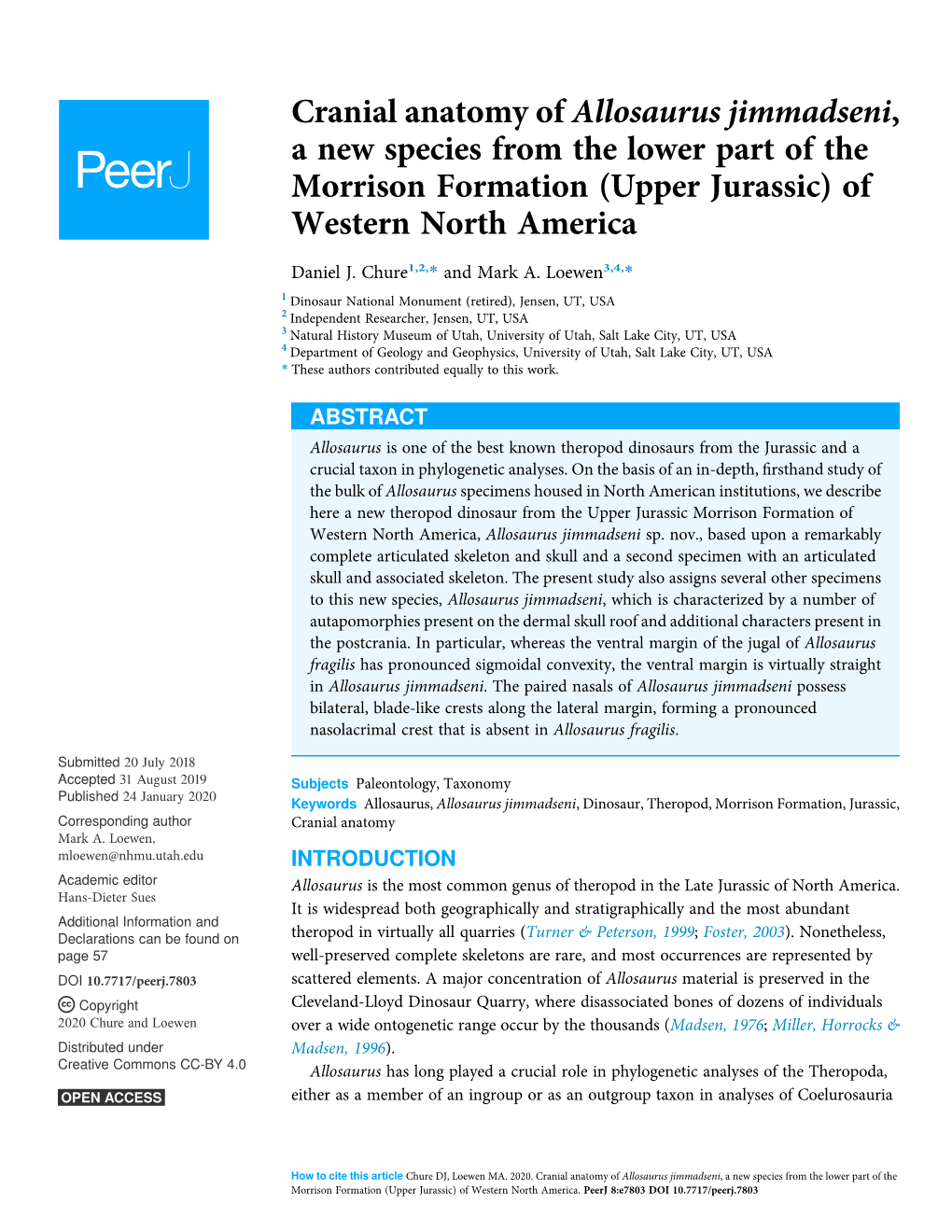 Cranial Anatomy of Allosaurus Jimmadseni, a New Species from the Lower Part of the Morrison Formation (Upper Jurassic) of Western North America