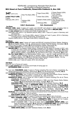 YEARLING, Consigned by Newsells Park Stud Ltd. the Property of Gestuet Faehrhof Will Stand at Park Paddocks, Somerville Paddock O, Box 309