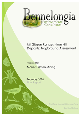 Mt Gibson Ranges - Iron Hill Deposits: Troglofauna Assessment