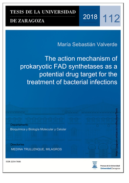 The Action Mechanism of Prokaryotic FAD Synthetases As a Potential Drug Target for the Treatment of Bacterial Infections