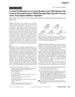 Covalent Modification of a Cysteine Residue in the XPB Subunit of The