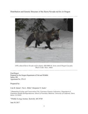 Distribution and Genetic Structure of the Sierra Nevada Red Fox in Oregon