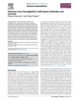 Influenza Virus Hemagglutinin Stalk-Based Antibodies and Vaccines