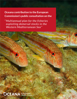 Multiannual Plan for the Fisheries Exploiting Demersal Stocks in the Western Mediterranean Sea”
