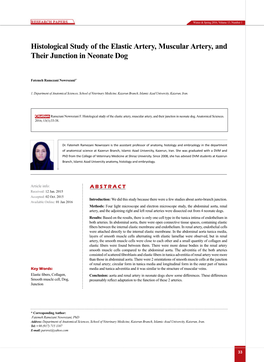 Histological Study of the Elastic Artery, Muscular Artery, and Their Junction in Neonate Dog