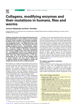 Collagens, Modifying Enzymes and Their Mutations in Humans, Flies And