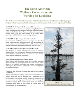 The North American Wetlands Conservation Act: Working for Louisiana