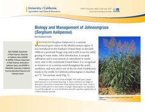 Biology and Management of Johnsongrass (Sorghum Halepense) Introduction