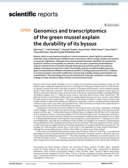 Genomics and Transcriptomics of the Green Mussel Explain the Durability