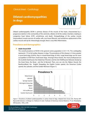 Dilated Cardiomyopathies in Dogs