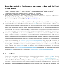 Resolving Ecological Feedbacks on the Ocean Carbon Sink in Earth System Models David I