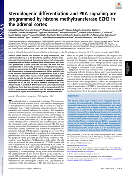 Steroidogenic Differentiation and PKA Signaling Are Programmed by Histone Methyltransferase EZH2 in the Adrenal Cortex