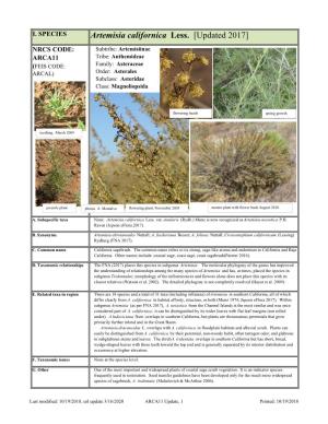 Artemisia Californica Less