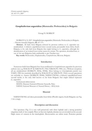 Gomphotherium Angustidens (Mammalia: Proboscidea) in Bulgaria 167 18: 167-171, 2007