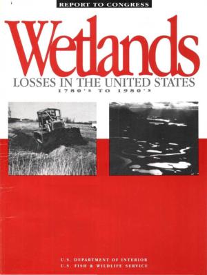 Wetlands Losses in the United States 1780'S to 1980'S