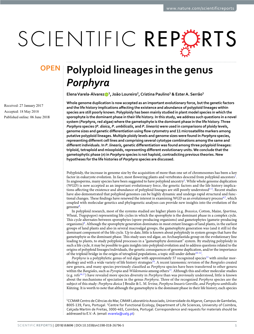 Polyploid Lineages in the Genus Porphyra Elena Varela-Álvarez 1, João Loureiro2, Cristina Paulino1 & Ester A