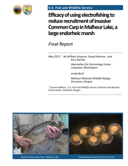 Efficacy of Using Electrofishing to Reduce Recruitment of Invasive Common Carp in Malheur Lake, a Large Endorheic Marsh