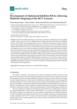 Development of Optimized Inhibitor Rnas Allowing Multisite-Targeting of the HCV Genome