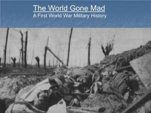 The World Gone Mad a First World War Military History Armies Collapse