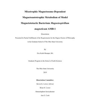 Mixotrophic Magnetosome-Dependent Magnetoautotrophic Metabolism of Model Magnetototactic Bacterium Magnetospirillum Magneticum A