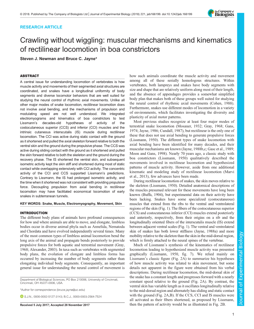 Muscular Mechanisms and Kinematics of Rectilinear Locomotion in Boa Constrictors Steven J