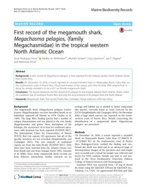 First Record of the Megamouth Shark, Megachasma Pelagios, (Family Megachasmidae) in the Tropical Western North Atlantic Ocean Grisel Rodriguez-Ferrer1* , Bradley M