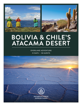 Bolivia & Chile's Atacama Desert