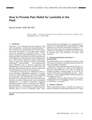 How to Provide Pain Relief for Laminitis in the Field