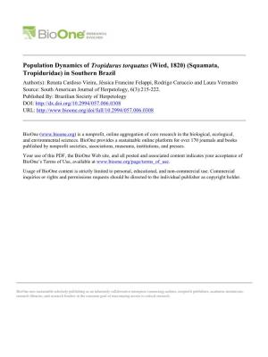 Population Dynamics of Tropidurus Torquatus
