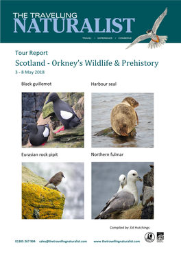 Scotland - Orkney’S Wildlife & Prehistory 3 - 8 May 2018