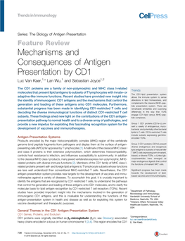 Mechanisms and Consequences of Antigen Presentation By