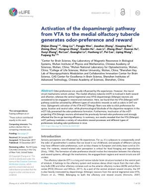 Activation of the Dopaminergic Pathway from VTA to the Medial