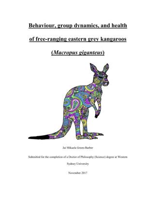 Behaviour, Group Dynamics, and Health of Free-Ranging Eastern Grey Kangaroos