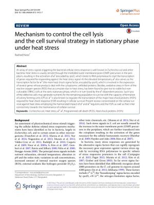 Mechanism to Control the Cell Lysis and the Cell Survival Strategy in Stationary Phase Under Heat Stress Rashed Noor*