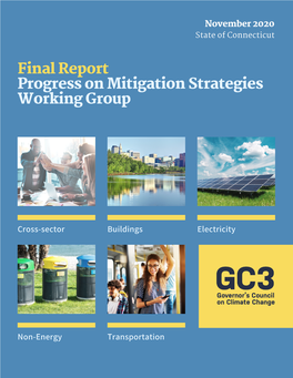 Progress on Mitigation Strategies Working Group 2020 Final Report