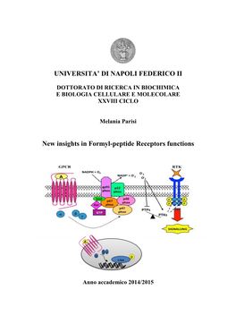 UNIVERSITA' DI NAPOLI FEDERICO II New Insights in Formyl-Peptide