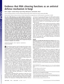 RNA Silencing Functions As an Antiviral Defense Mechanism in Fungi