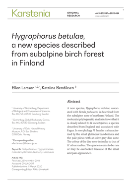 Hygrophorus Betulae, a New Species Described from Subalpine Birch Forest in Finland