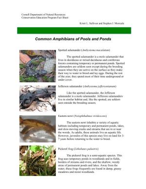 Amphibians of Forest Pools and Ponds