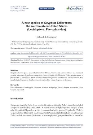 A New Species of Oxyptilus Zeller from the Southwestern United States (Lepidoptera, Pterophoridae)