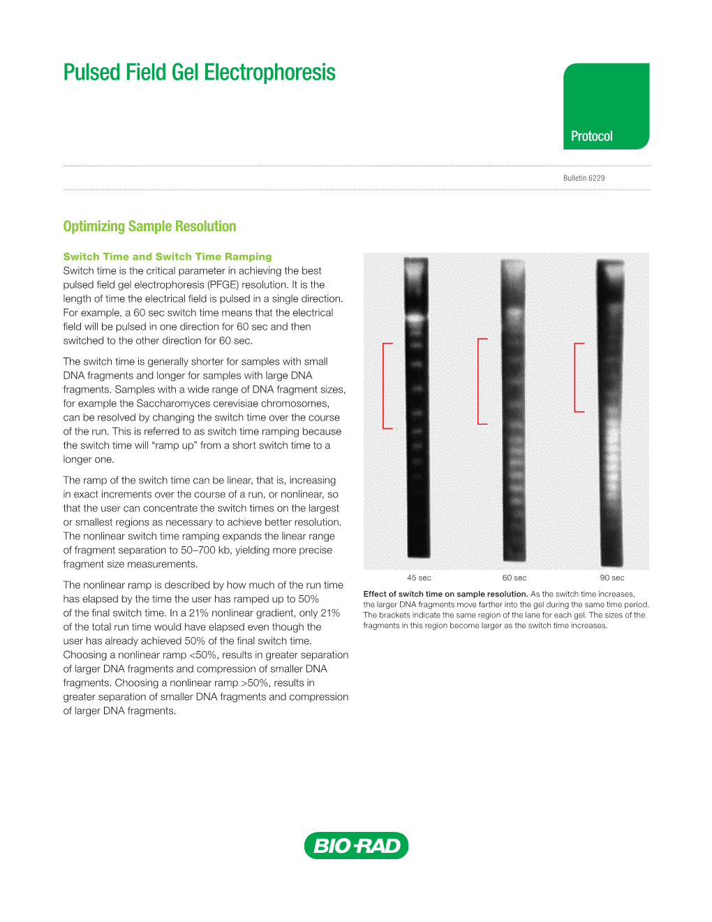 Pulsed Field Gel Electrophoresis