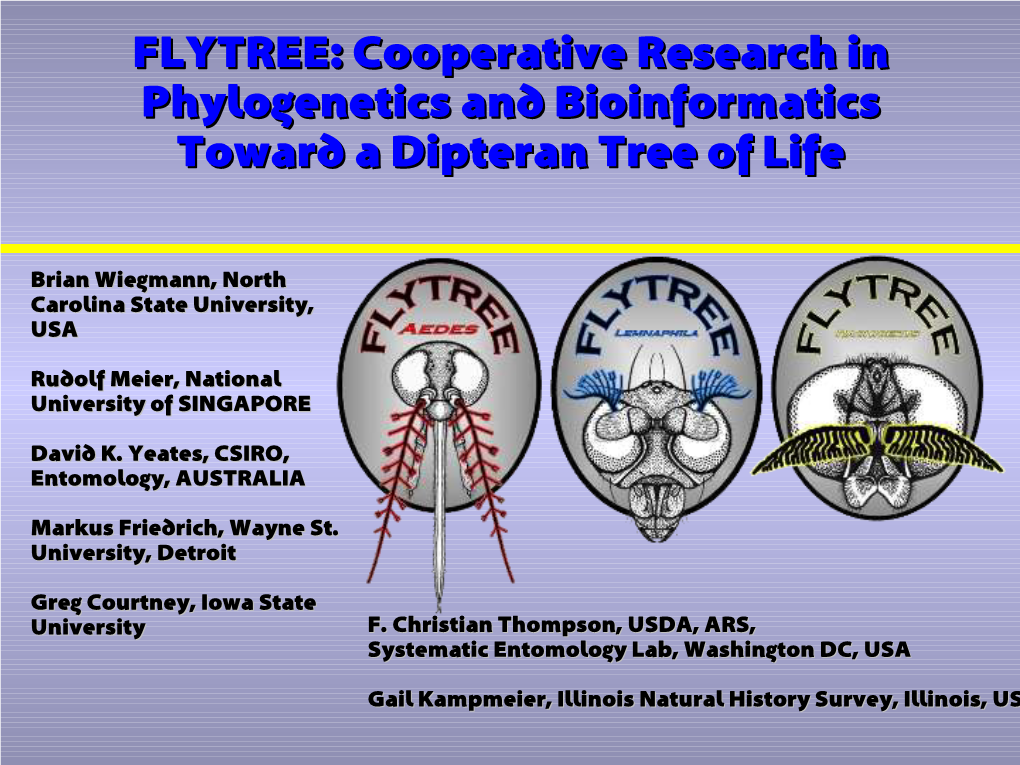 FLYTREE: Cooperative Research in Phylogenetics and Bioinformatics