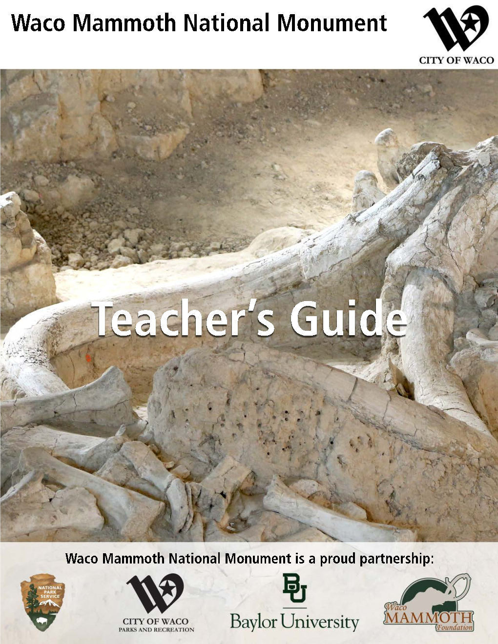 Teacher's Guide