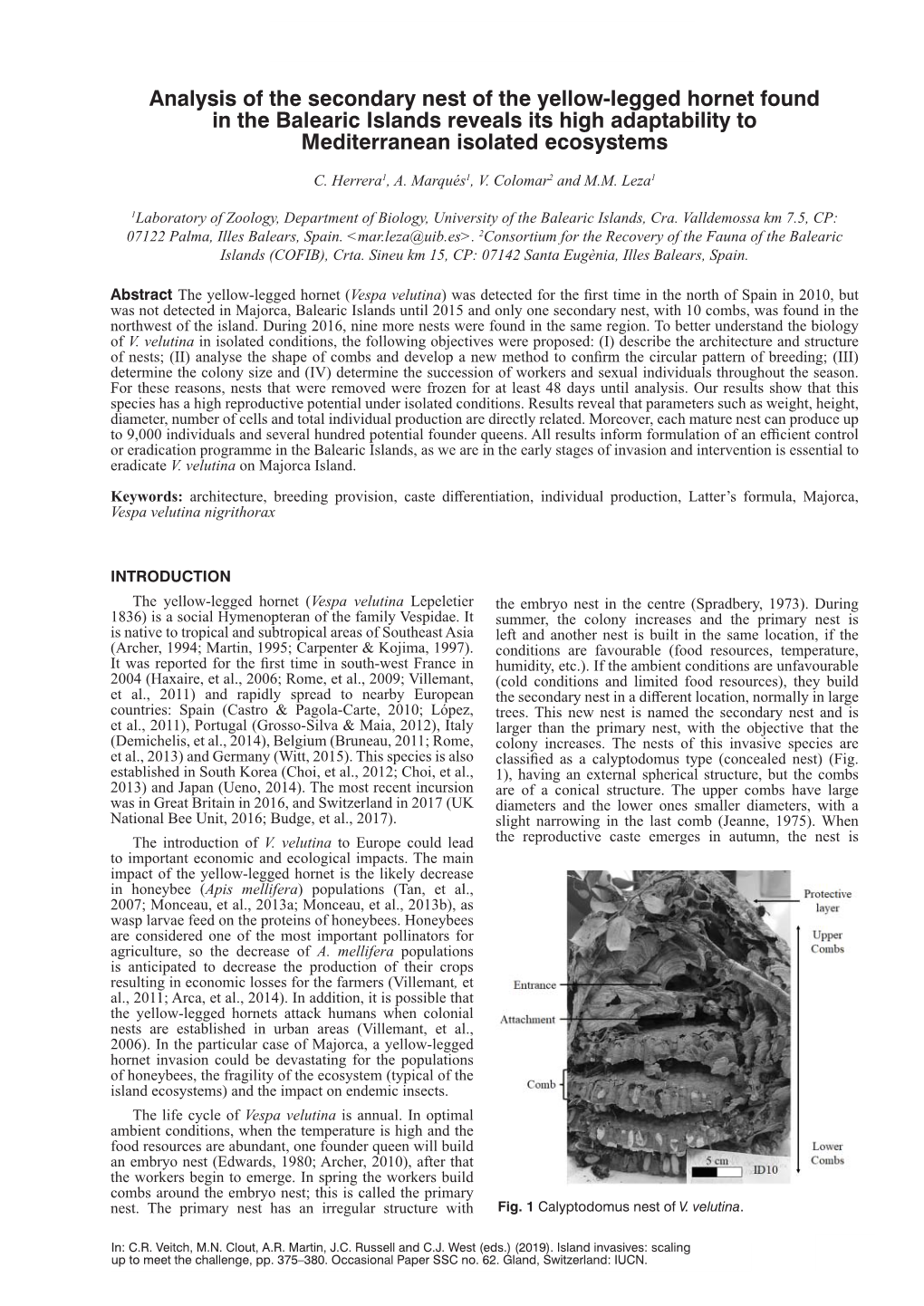 Analysis of the Secondary Nest of the Yellow-Legged Hornet Found in the Balearic Islands Reveals Its High Adaptability to Mediterranean Isolated Ecosystems