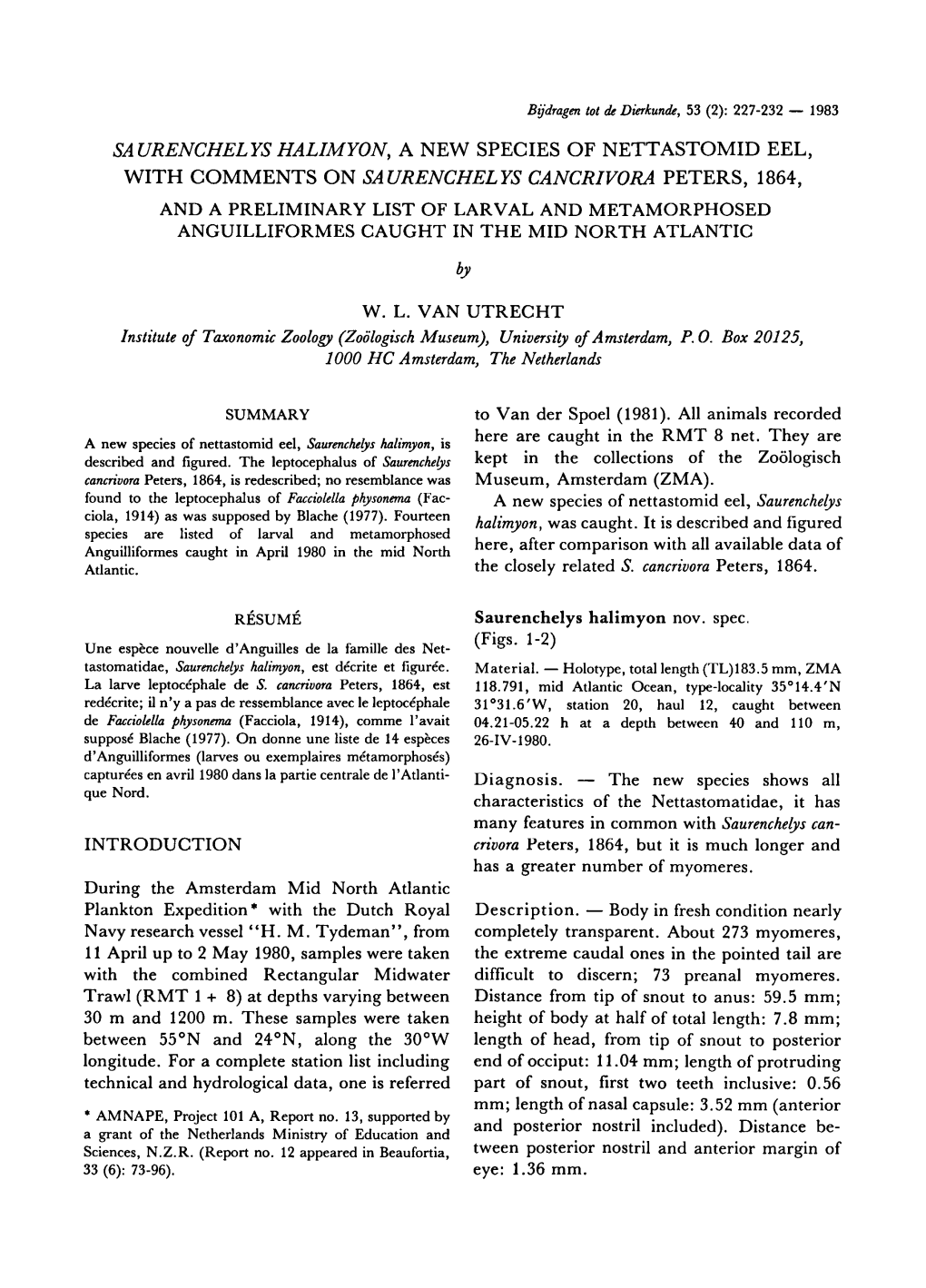 Halimyon, Nettastomid Eel, Comments on Saurenchelys Cancrivora Peters