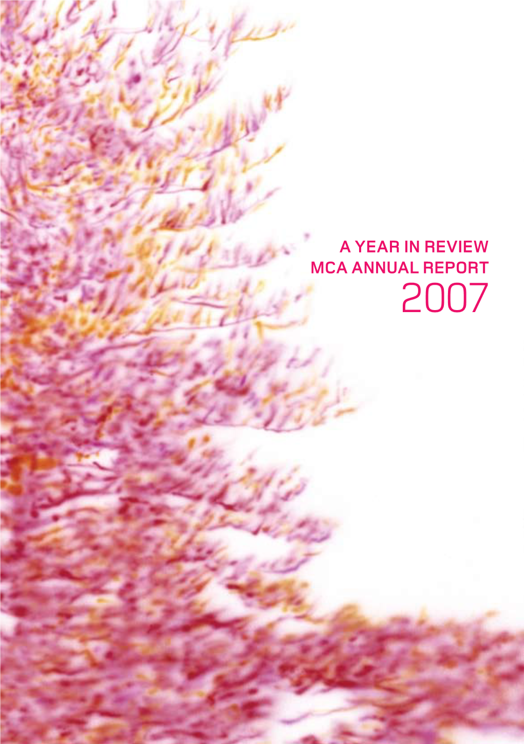 MCA Annual Report 2007 Download