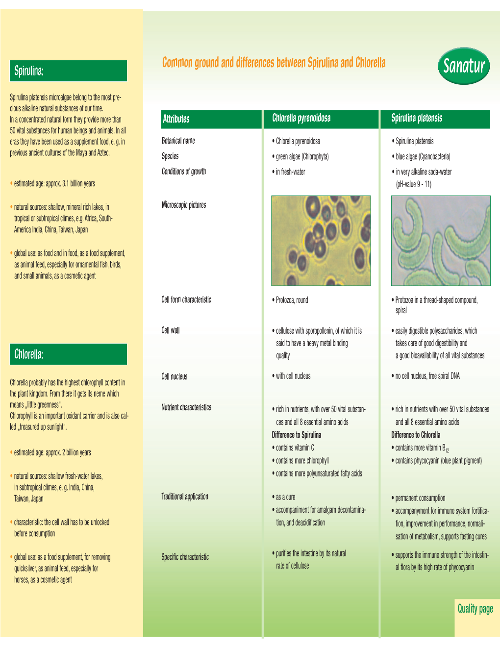 Common Ground and Differences Between Spirulina and Chlorella Spirulina